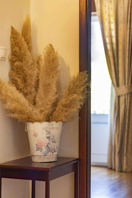 Quintinha De Sabadim - 500 Metros Da Ecovia De Sistelo Villa Arcos de Valdevez Eksteriør bilde